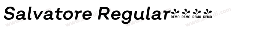 Salvatore Regular字体转换